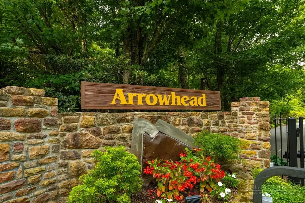 Lot 24 Red Wolf, Blowing Rock