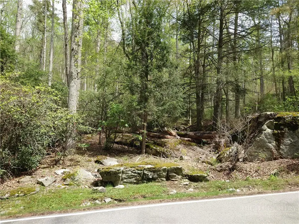 Tbd Evergreen, Boone