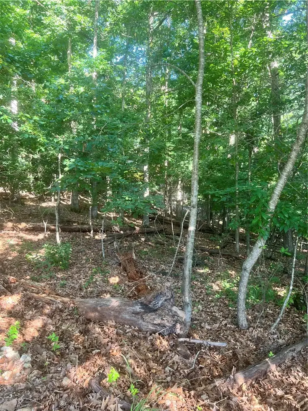 Lot 17 Cherhill Drive, Bella Vista
