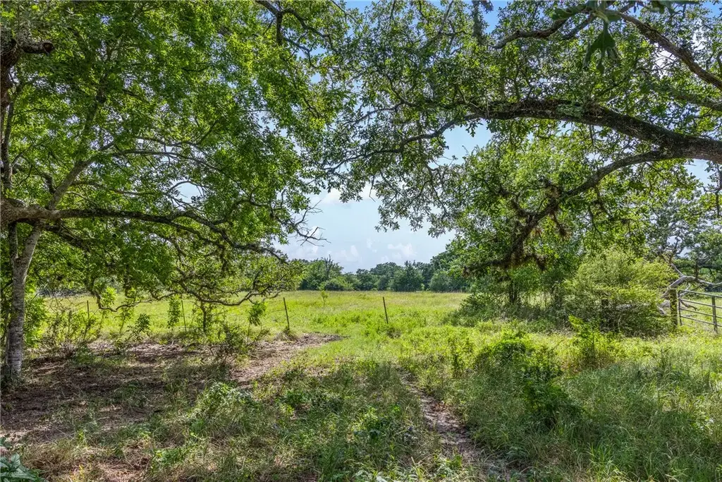 11504 N Dowling Road, College Station