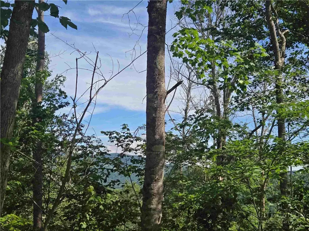 Tbd Green Cove Road, Sugar Mountain