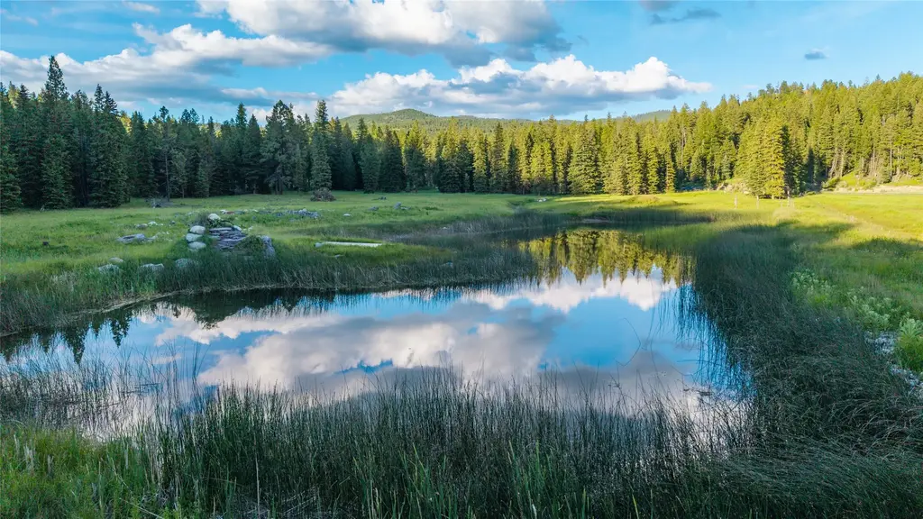 1451 Coon Hollow Road, Kila