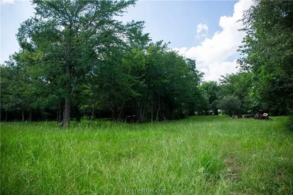 5037 Paulo Court, Bryan