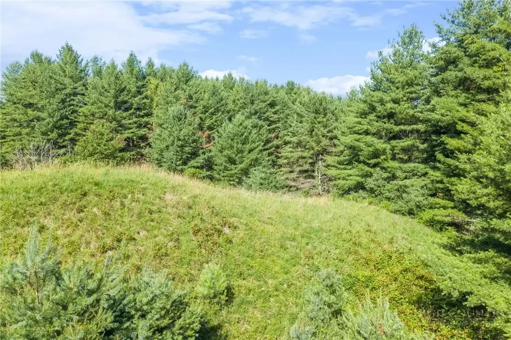 Lot 31 Alleghany Beauty, Piney Creek