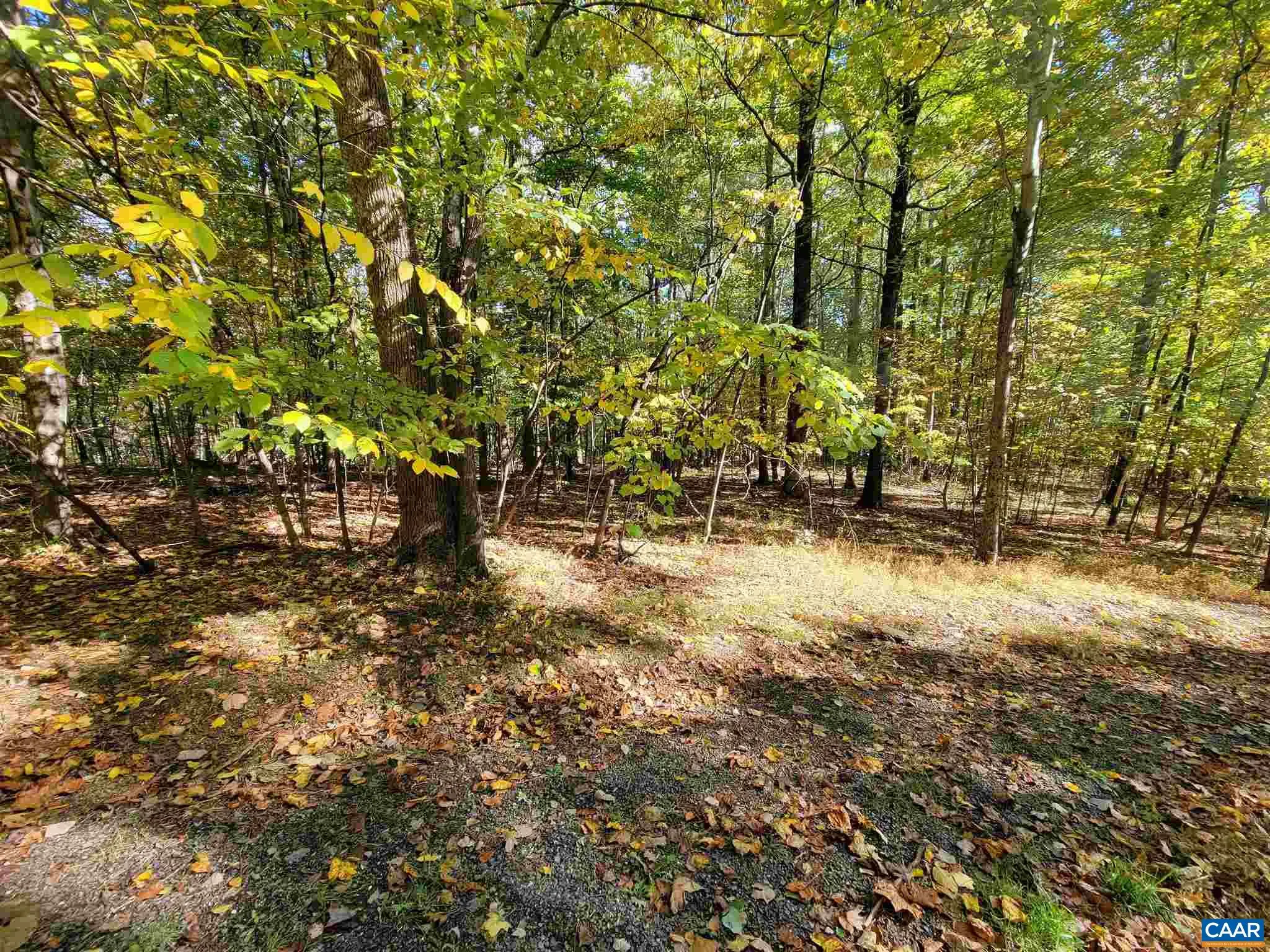 41 Hickory Spring Rd, Wintergreen Resort