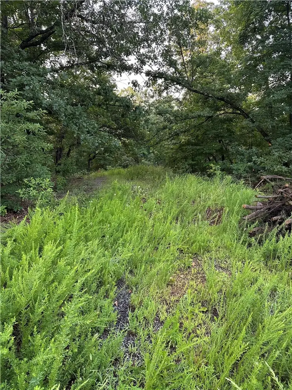 Lot 12 Denver Lane, Bella Vista