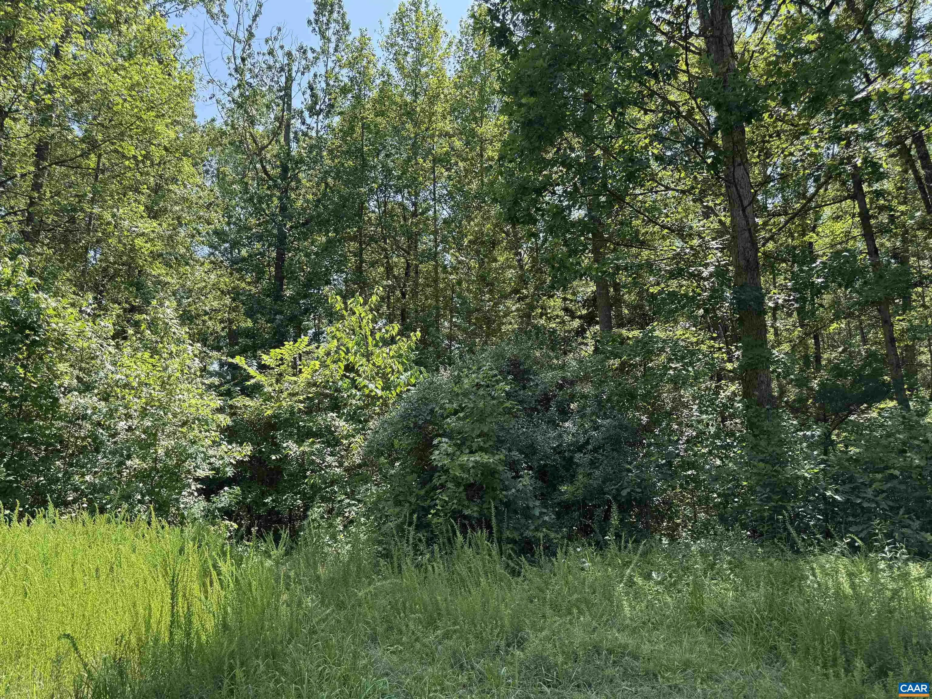 Bambi Ct, Beaverdam