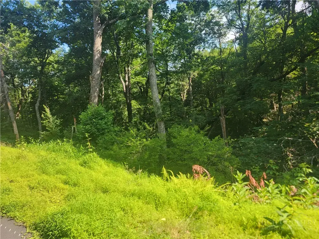 Tbd Tree Top Ridge Lane, Boone