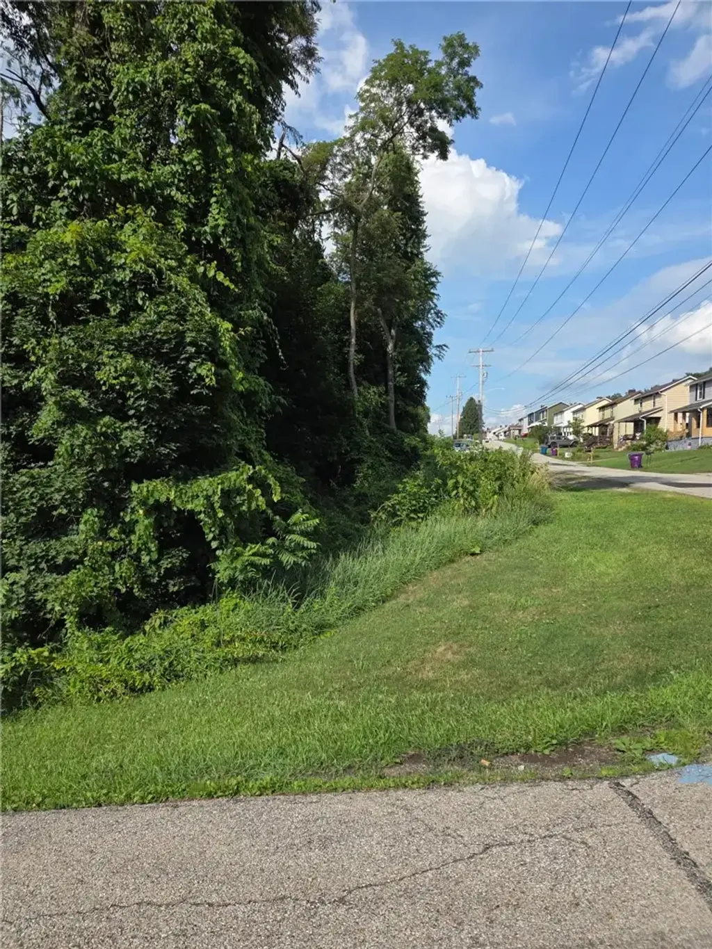9113 Walnut, Plum Boro
