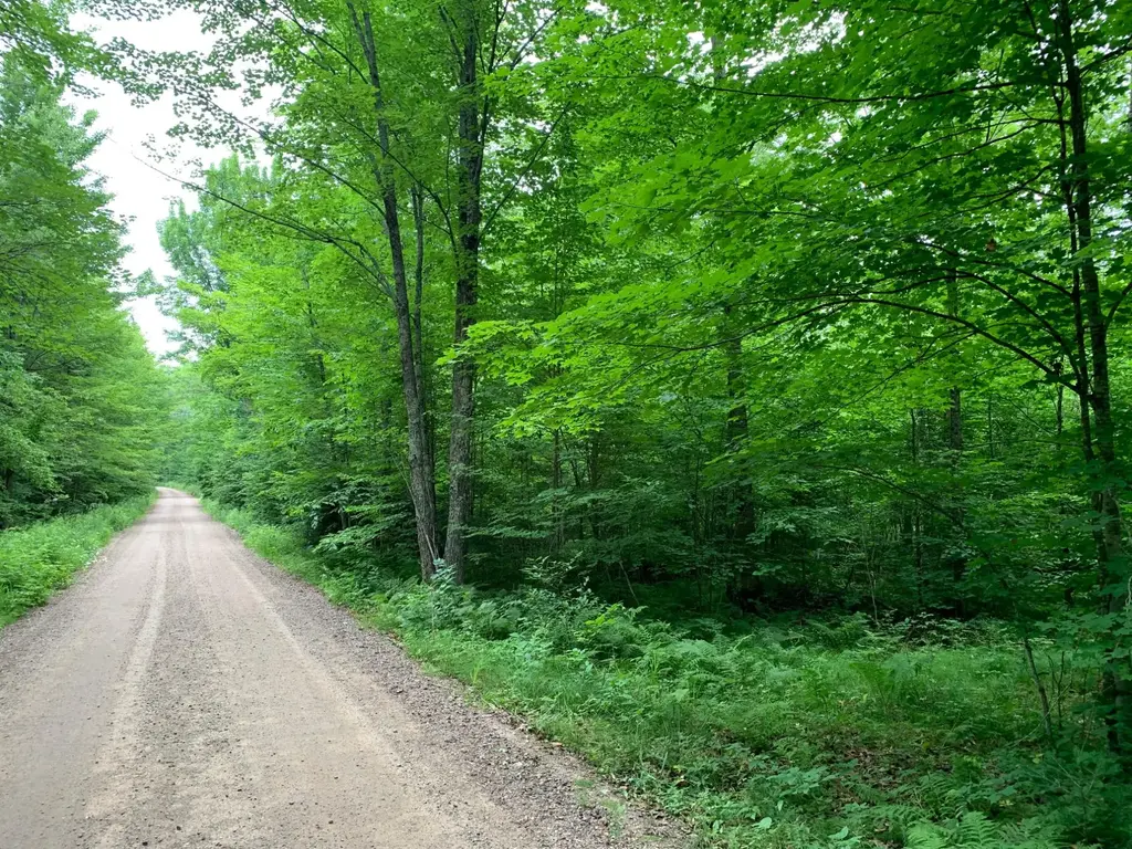 Summit Woods Ln, Gleason