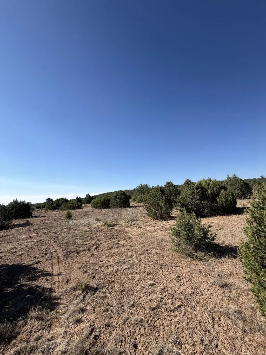 16 Tr A-1,2,3&4land Of Augustine Drive Ne, Tijeras