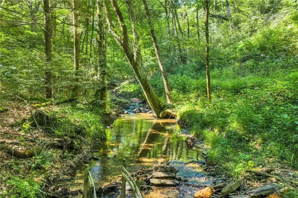 Tbd Junaluska, Boone