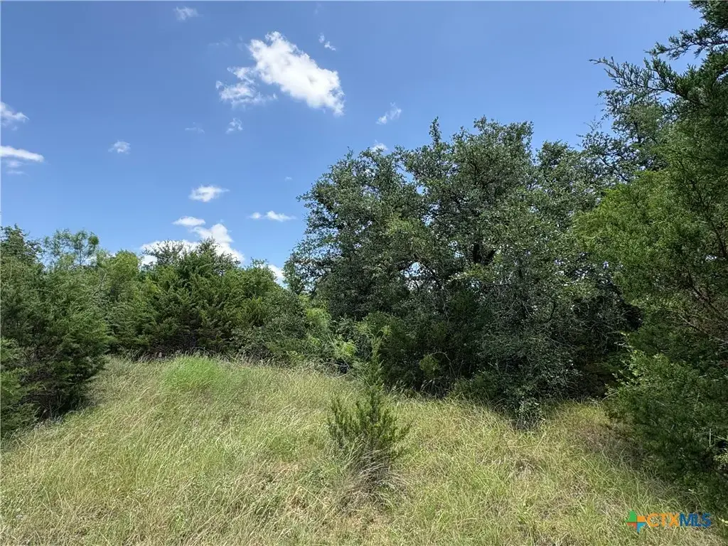 County Road 303, Bertram