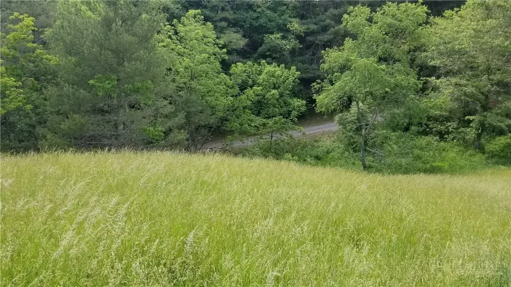 Lot 22 Rachel Way # 22, Piney Creek