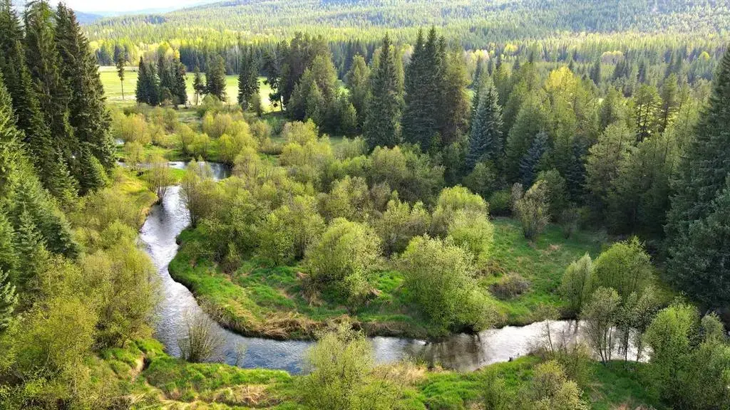 31975 South Fork Yaak River Road, Yaak