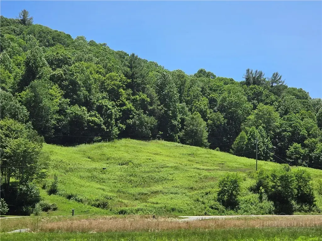 Lot 12 Elk River Road, Elk Park