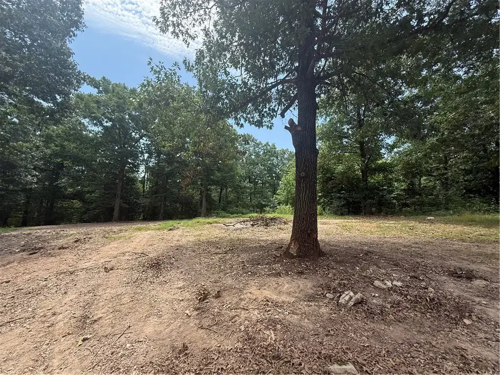 15435 Realtree Road, Gravette