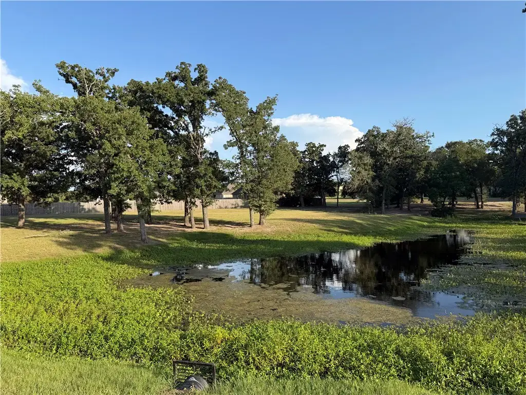 9901 Hunters Run, College Station