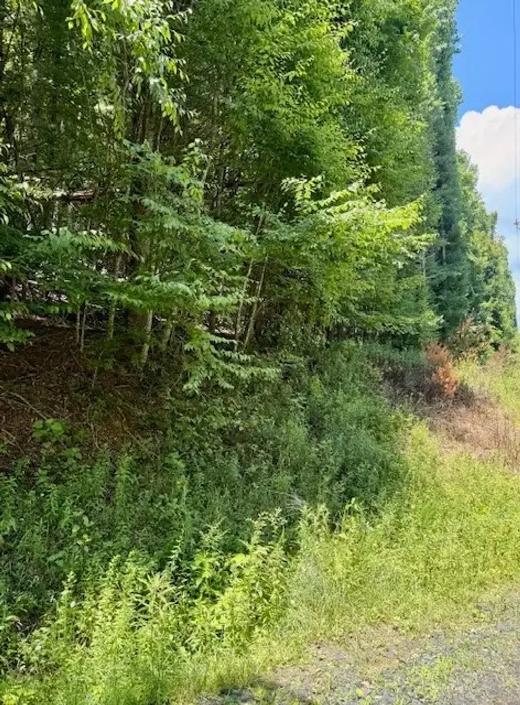 Tbd Chestnut Creek Road, West Jefferson