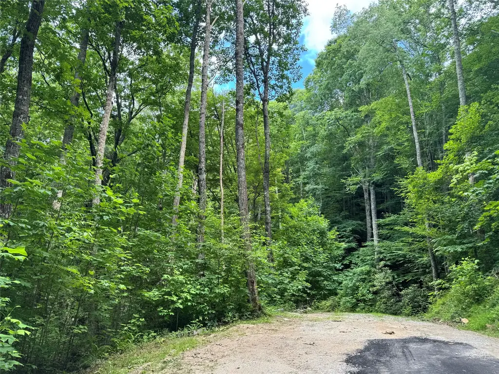 191 Shortoff Shadow Trail, Highlands