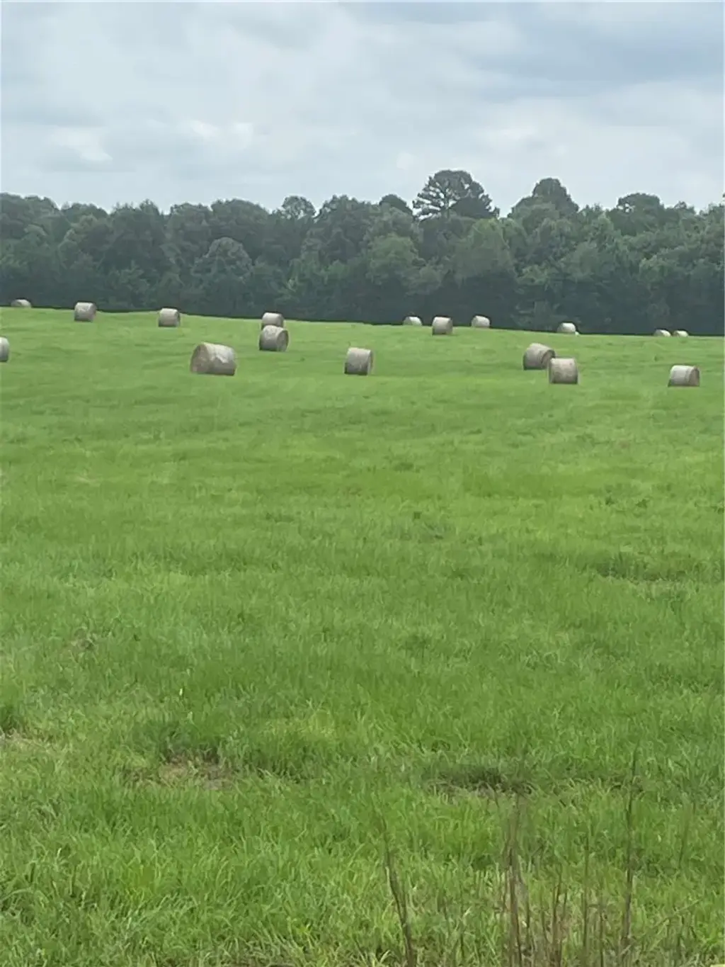 40 Acres Vacant Land County Road 3411, Clarksville