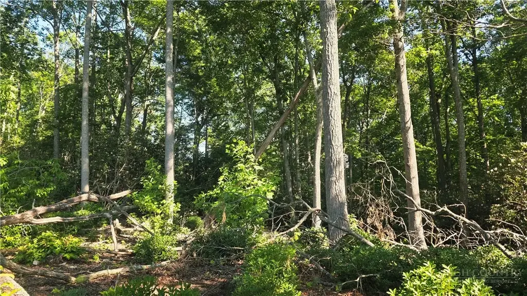 Lot 122 Pine Tree Drive, Spruce Pine