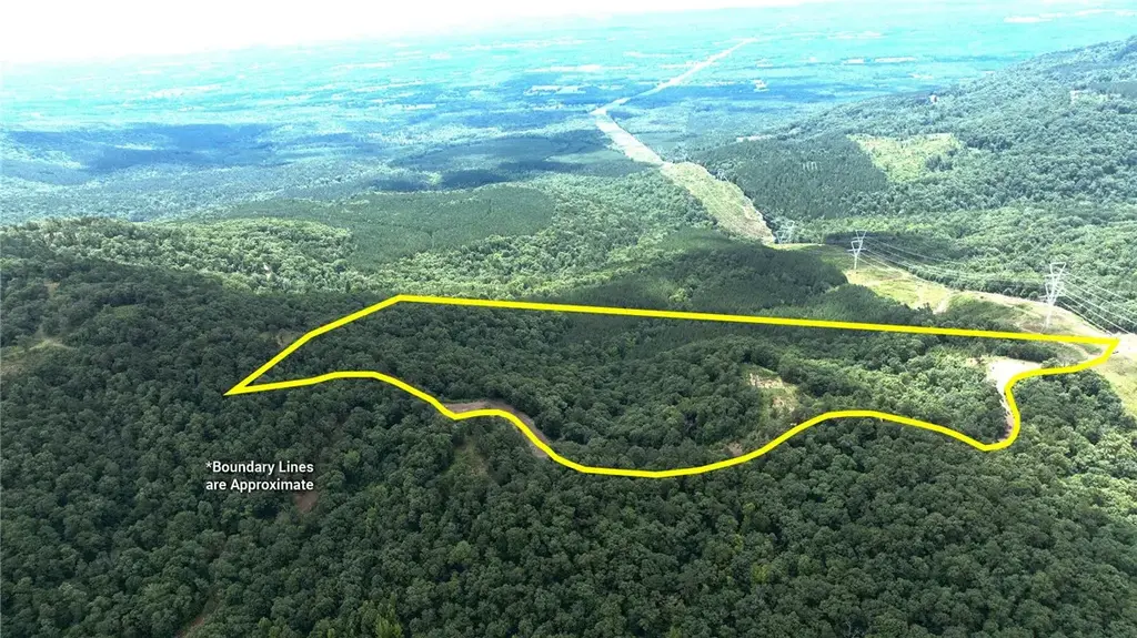 Tater Mountain West, Dardanelle
