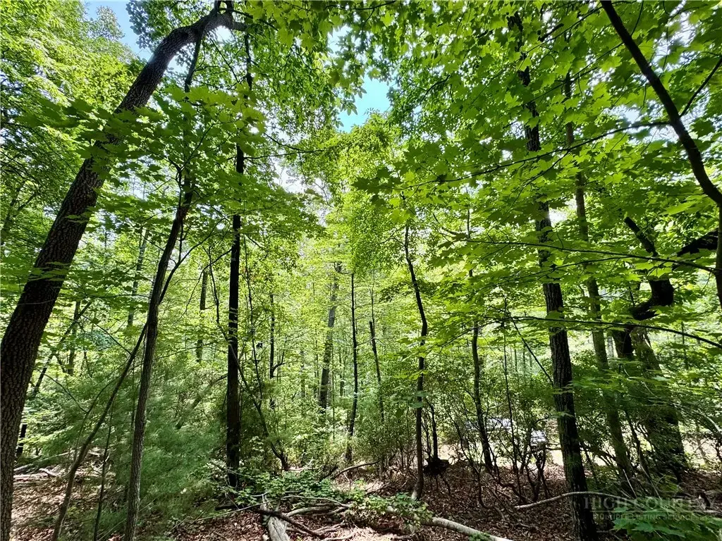 35 Acres Lot 23 Bear Track Lane, Lenoir