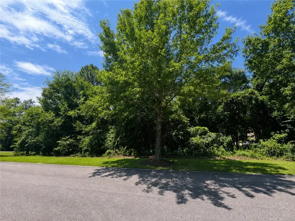 Lot 17 Lee Rd 2159, Opelika