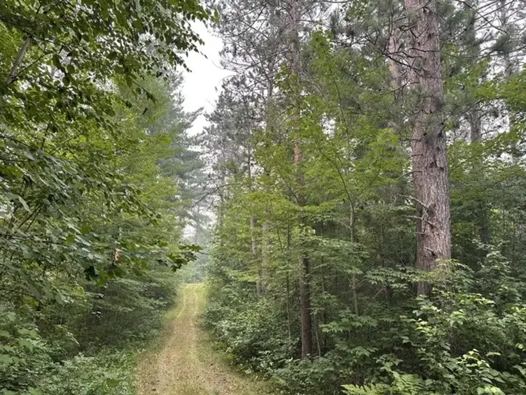 Kelly Lake Road, Barnes