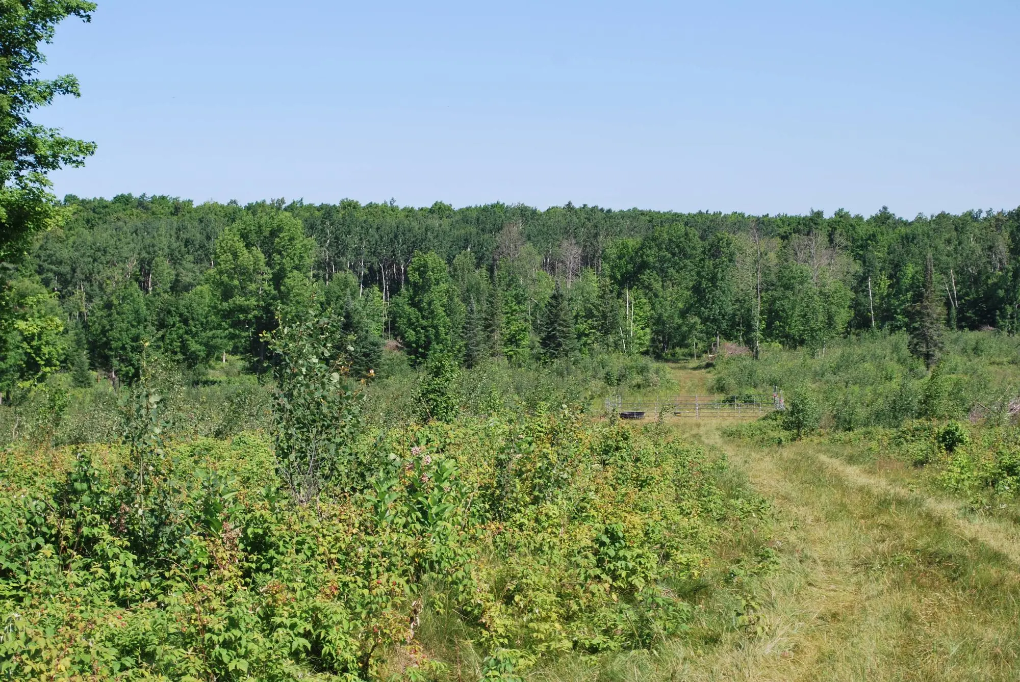 Near Cth S # 34.9+/- Ac, Crandon