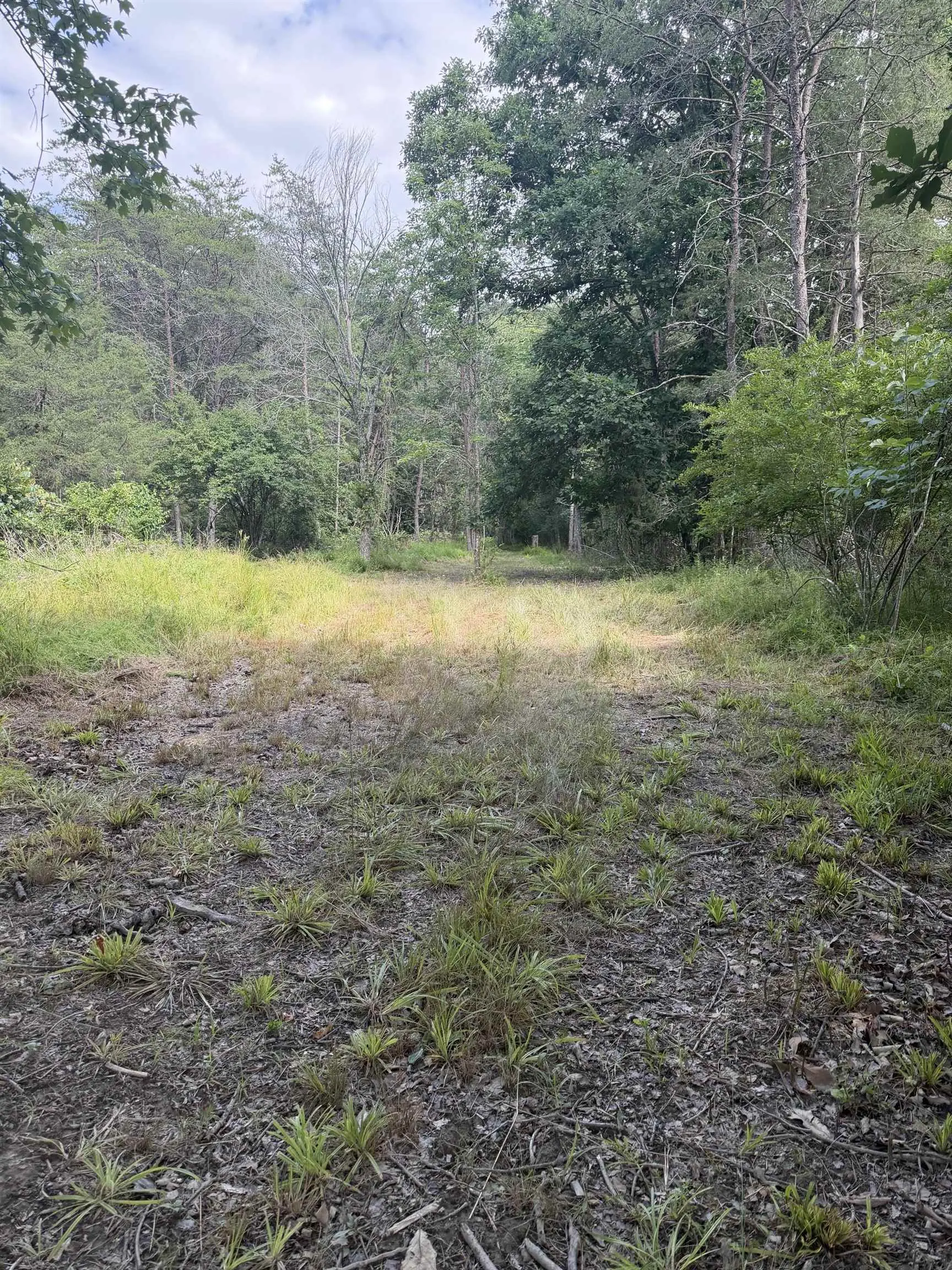 11289 Cowpasture River Hwy, Millboro