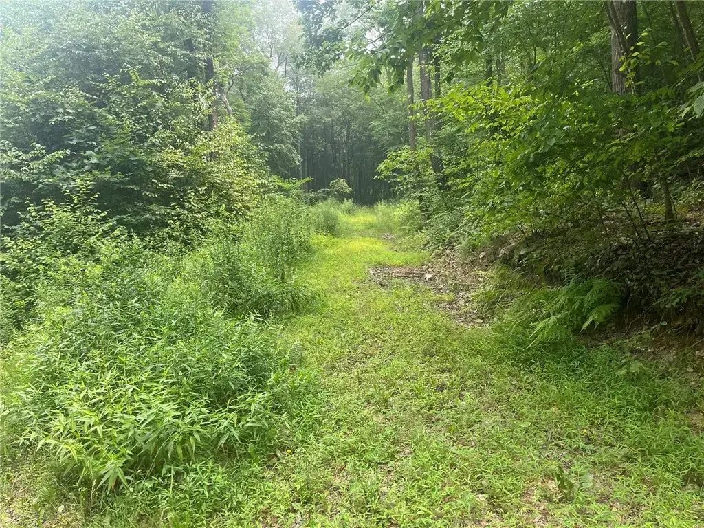 Lot 10 Off Camp Run Road , Donegal