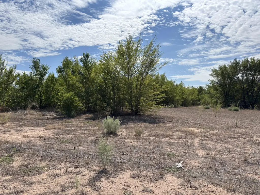 Darla (tract 2) Drive, Los Lunas