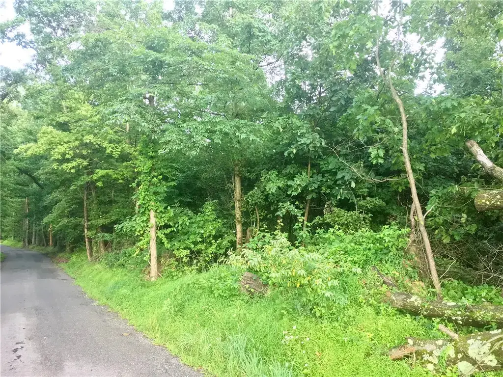 Palko Road, Bell