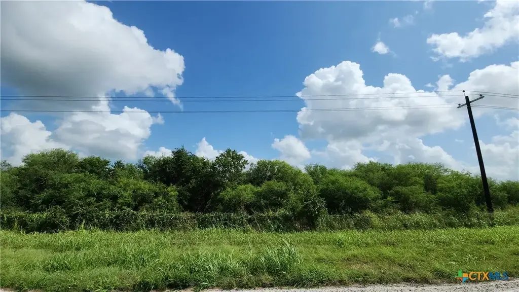 Fm-2542, Cuero
