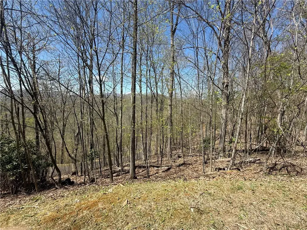 24 Elk Mountain Loop, Newland