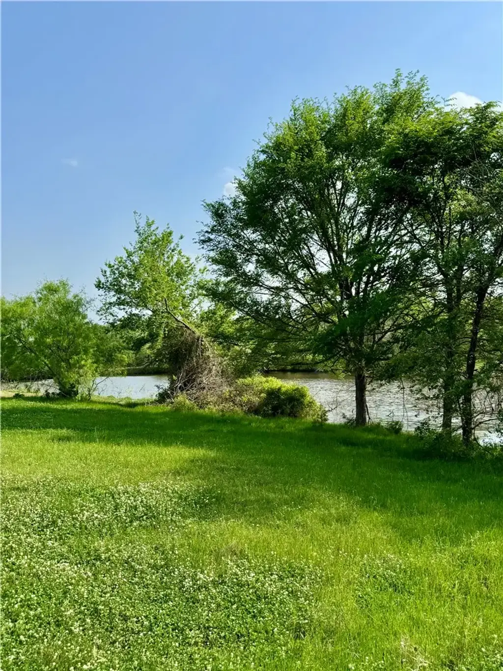 15420 Arhopulos Road, College Station