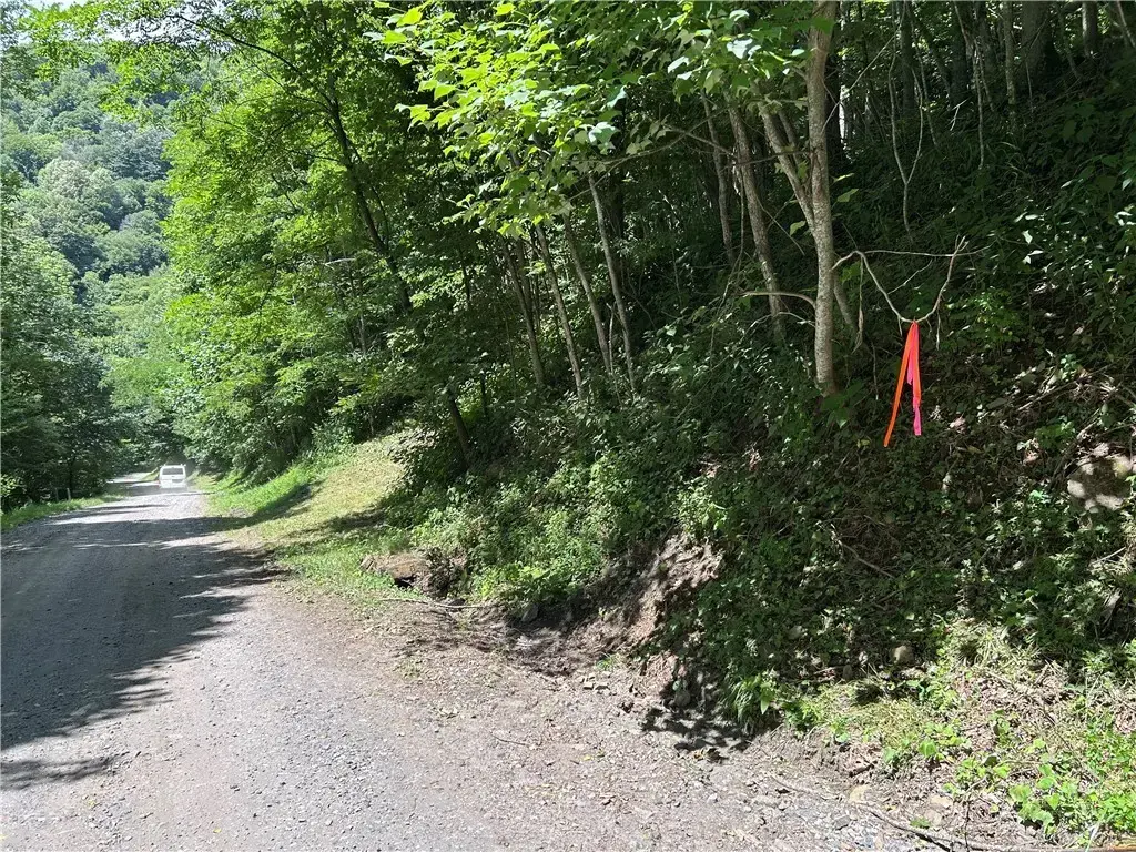 Tbd Little Tree Road, West Jefferson