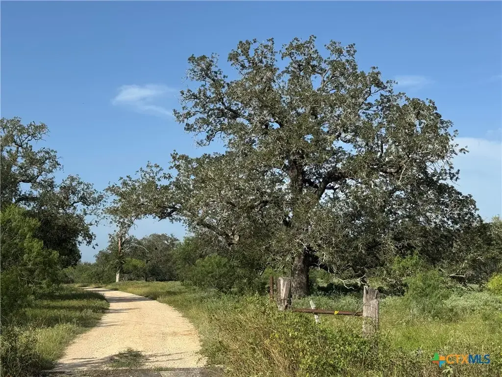 Batey Ranch Road, Nixon