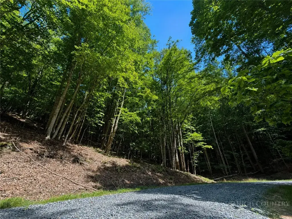 146 Sassafrass Road, Beech Mountain