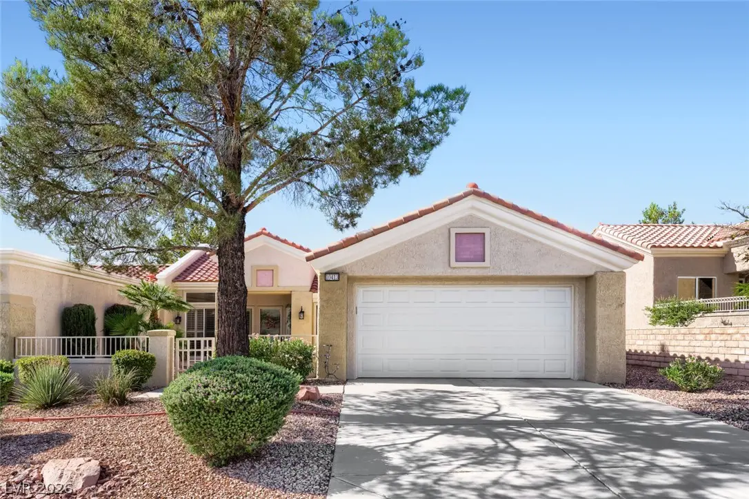 10413 Junction Hill Drive, Las Vegas