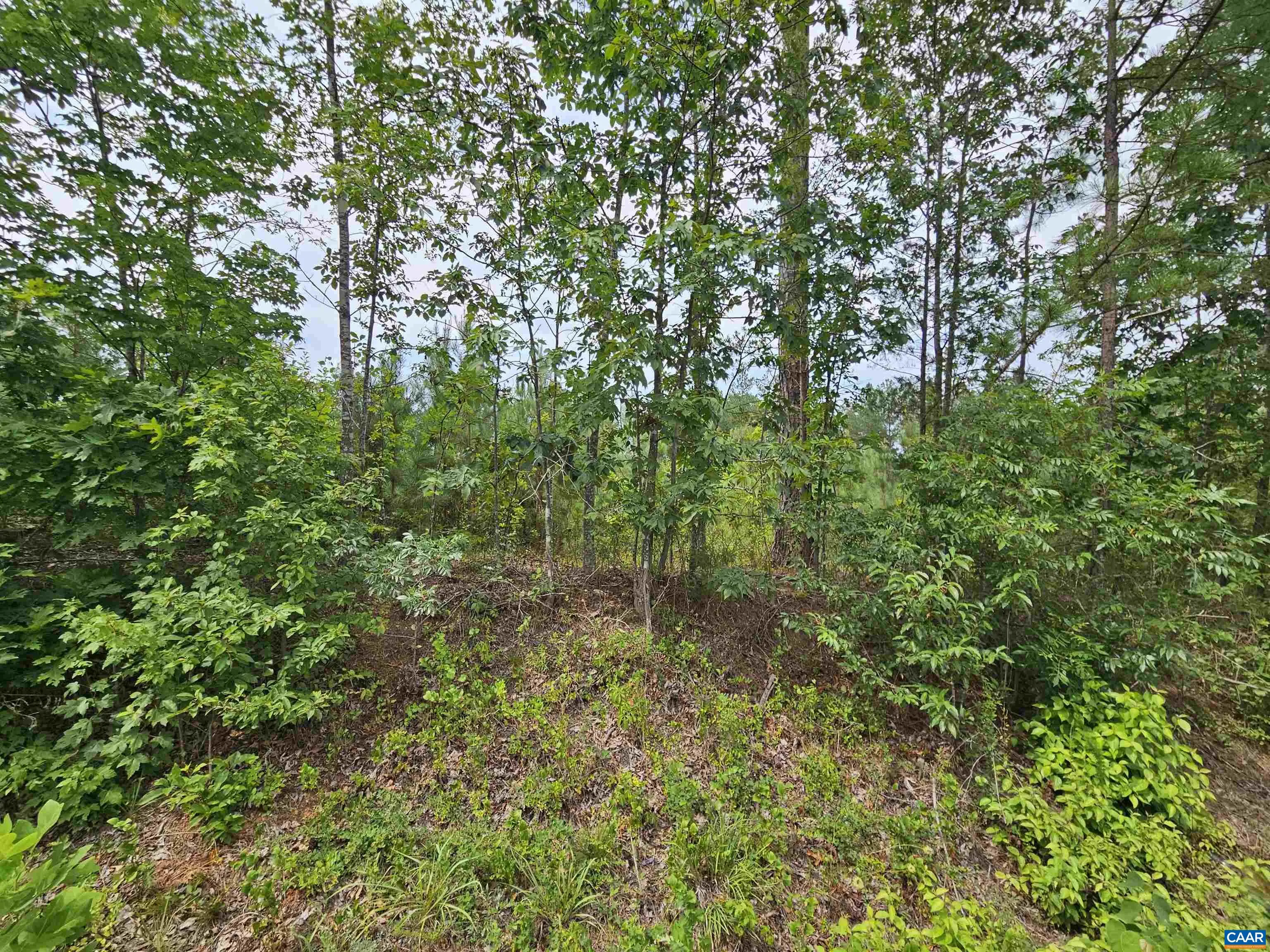 2.78 Ac Penlan Rd, Arvonia