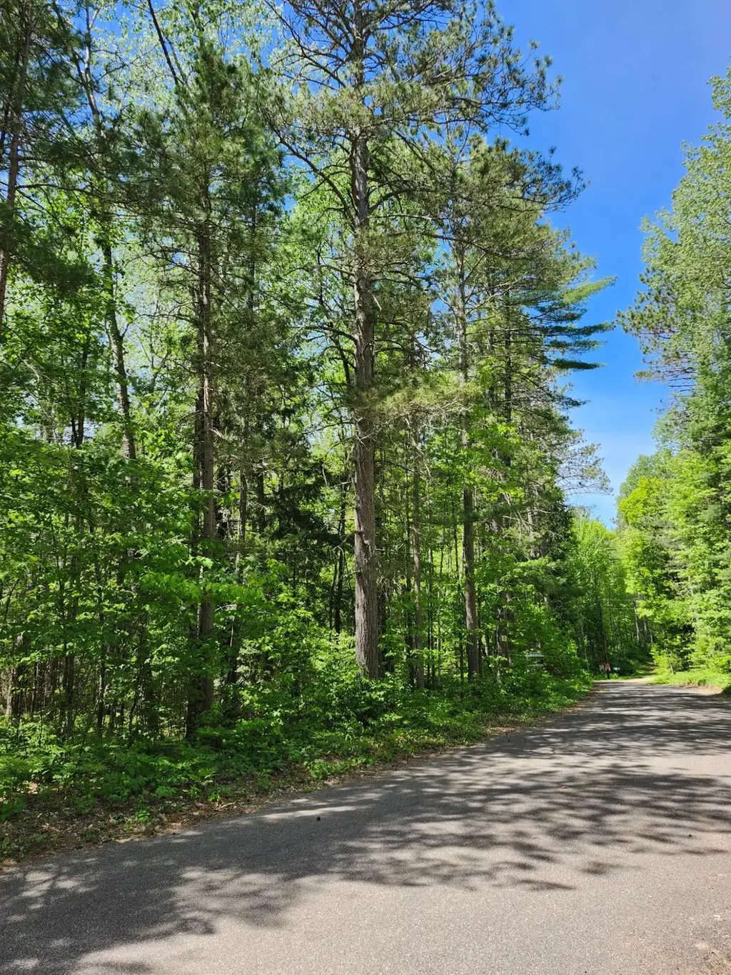 8 Acres Bills Lake Rd, Lac du Flambeau