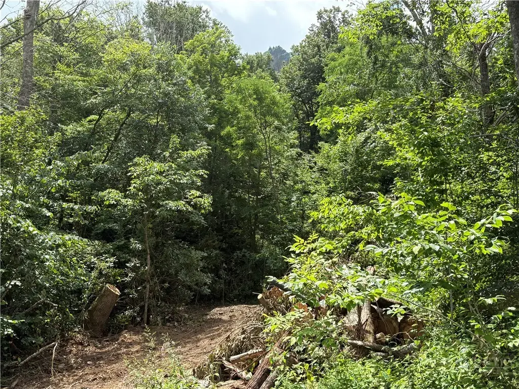 Lot 15 Shanty Springs Road, Banner Elk