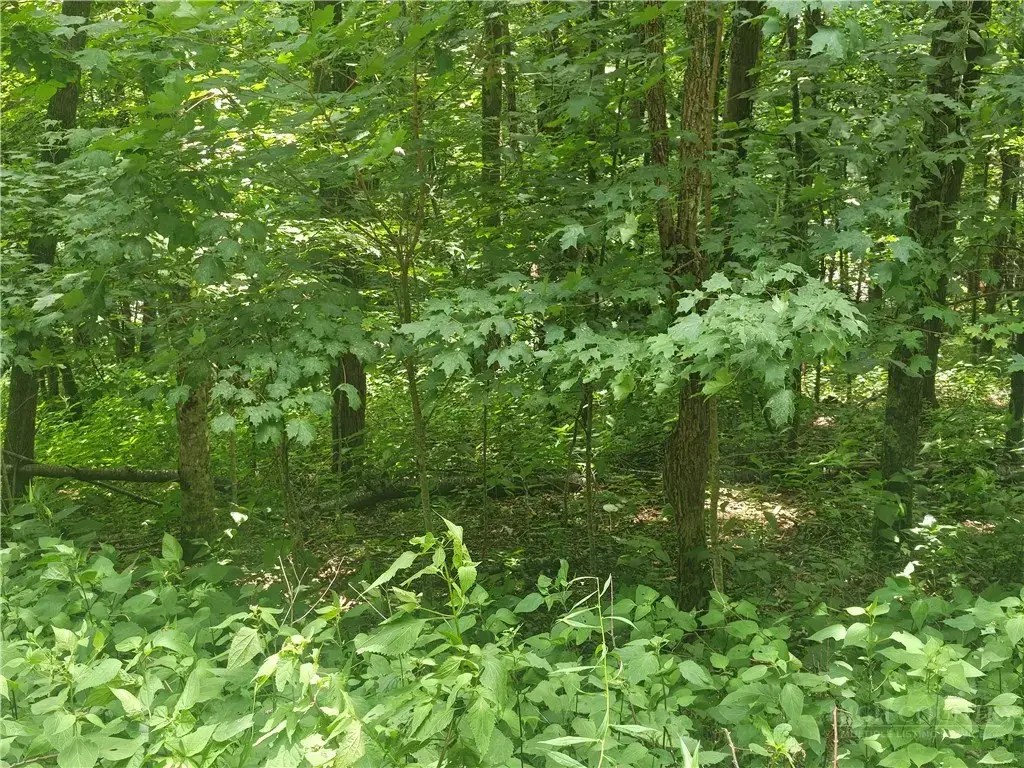 Lot 90 Thorncliff Drive, Seven Devils