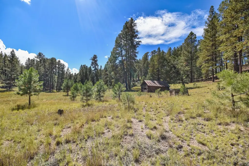 27.5 Acres Jemez Mountain Forest Rd 10, Jemez Springs