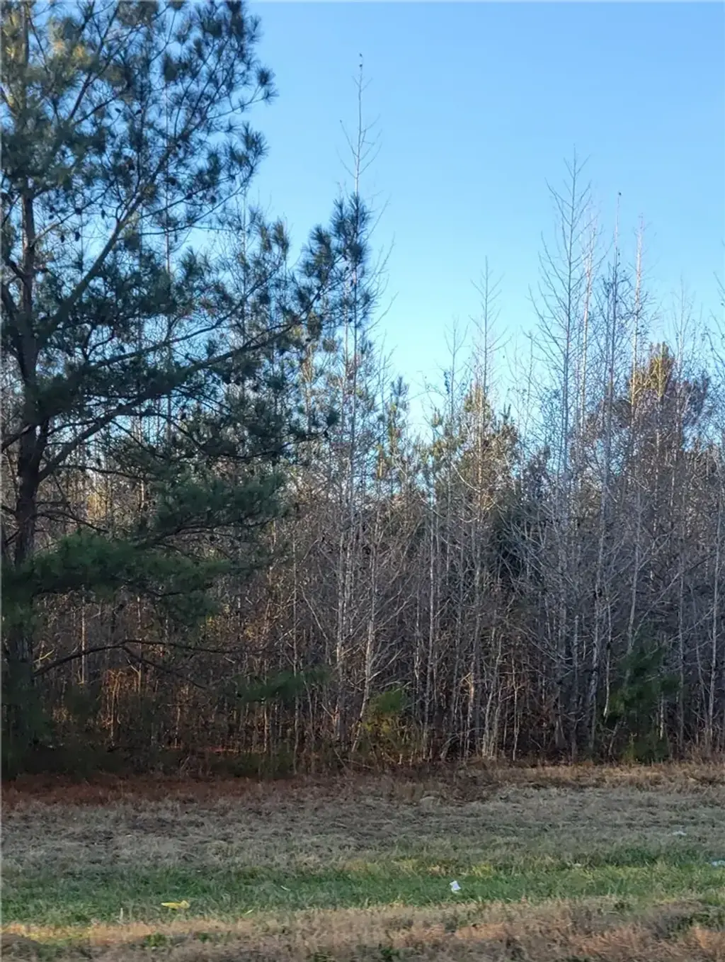 County Rd 5, Union Springs
