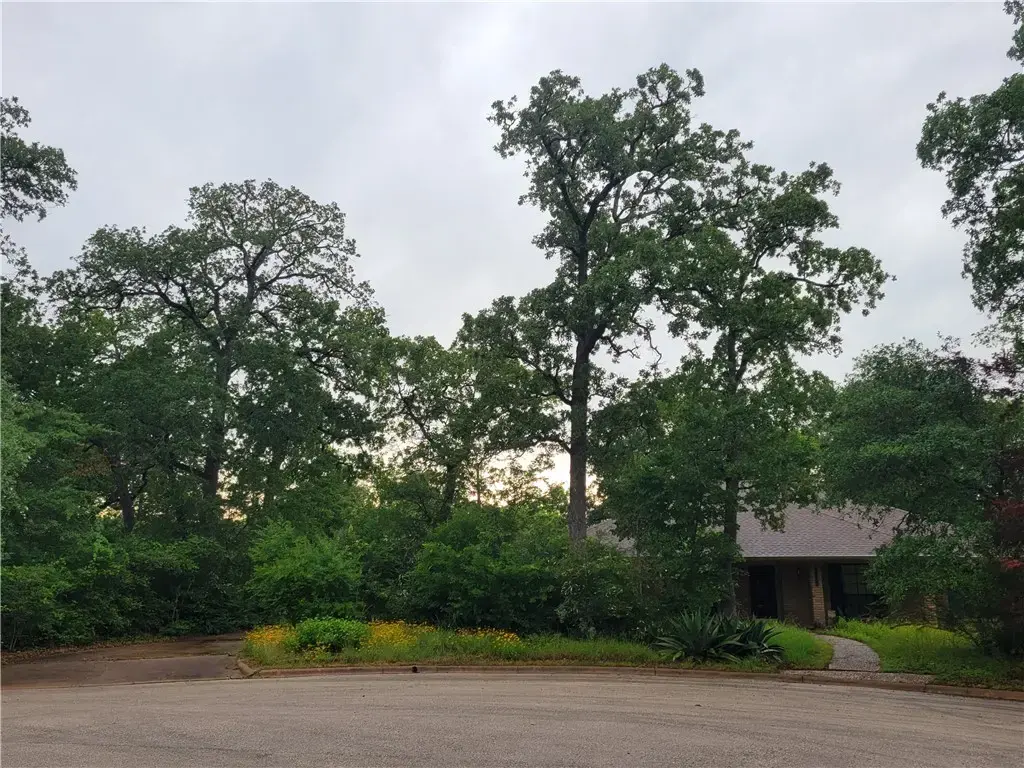 2707 Teakwood Court, College Station