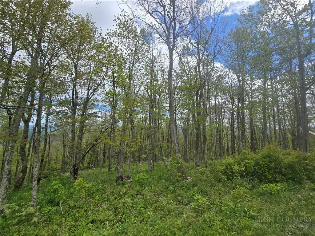 Lot 86 Elk Mountain Parkway, Todd